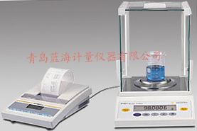 BT系列準(zhǔn)微量、分析、精密天平